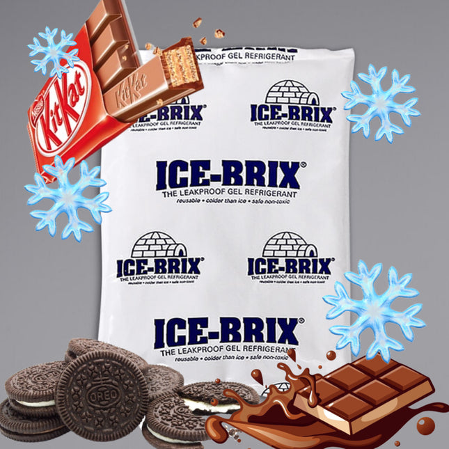 (x2) 3oz Ice Gel Pack Protection
